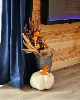 New! Pine Ridge Tiny Cabin with Hot Tub! - 3