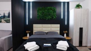 VAV Nest Studio - 0