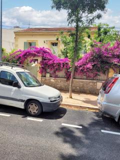 Appartement cosy La Seyne-sur-Mer 55m² avec jardin - La Seyne-sur-Mer - 8