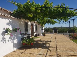 Vivienda Turistica de Alojamiento Rural El Jaral - Alcaracejos - 0