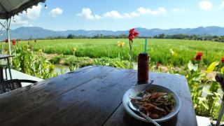 Love UU Garden - Balik Pulau - 4