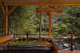 Driftwood Rapids Villa - 7