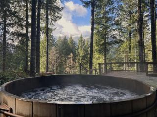 Culps Cascade - Packwood - 9