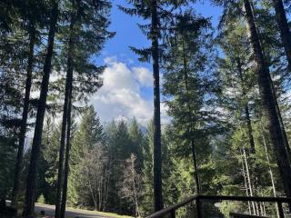 Culps Cascade - Packwood - 4