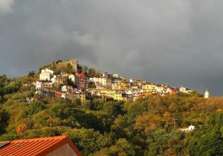 Trebiano a casa dei nonni - Arcola - 2