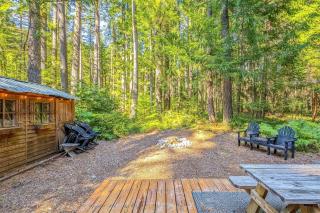 Alpine Drift - Packwood - 7
