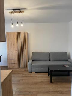 Apartament Olesno Centrum - Olesno - 2