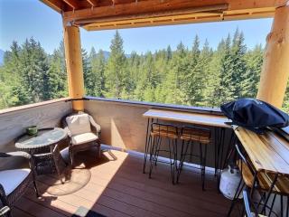 Little Big Fish | Wifi, BBQ, AC ,Rainier View - 1