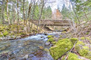 Lake Creek Cabin - Packwood - 6