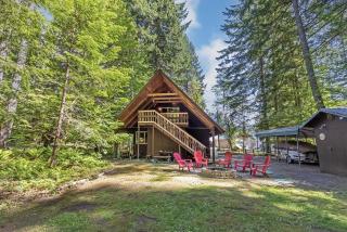 Elk Country Cabin - Packwood - 1