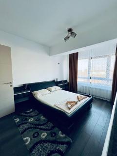 Newton Apartments near City Center - Iaşi - 7