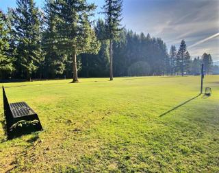 Tee Time - Packwood - 8