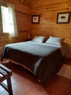 The Old Viking Fly Fishing- Alojamiento - Junín de los Andes - 4