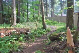 Moose Manor - Packwood - 5
