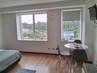 Departamento Los Carrera Centro - 8