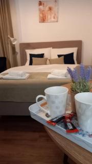 Apartman Mijate - Banja Luka - 7