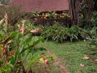 Tambopata Research Center - Tambopata - 8