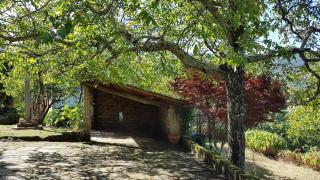 Extensive estate 10 minutes from Bayona and Beaches - 8