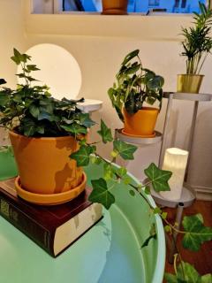 Cozy condo near Bryggen Full kitchen Elevator - Bergen - 5