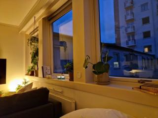 Cozy condo near Bryggen Full kitchen Elevator - Bergen - 1