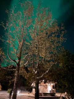 Laugar Guesthouse - Laugar - 5