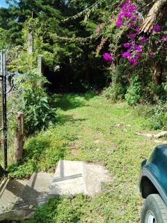 Granja Triple A - 5