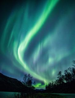 Feriehus i Talvik med badstue og jacuzzi - 0
