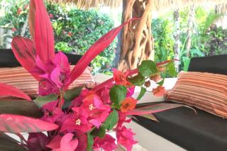Charming house with private pool in Las Terrenas - Las Terrenas - 1