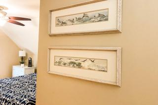 Cape Escape - Annapolis - 2