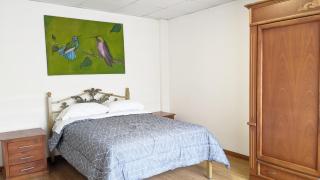 Natural Light and Total Comfort - 5