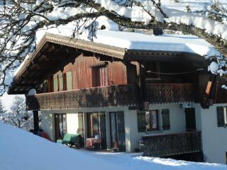 Le Bois des Louison - Seytroux - 8