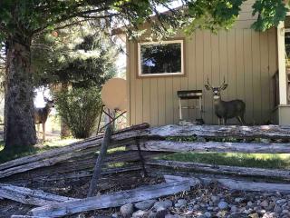 The Sweet Retreat Farmhouse with fast WiFi - - 2