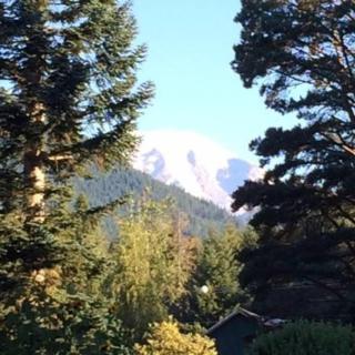 Rainier View - Packwood - 6