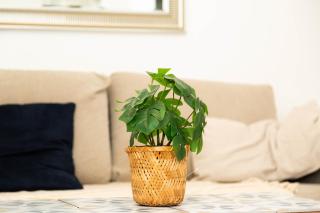 Elégant studio stade de France 8 pour 4 personnes - Saint-Denis - 0
