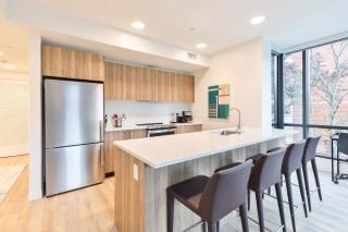 Gorgeous Apt with Kitchen - IDL-250 - Boston - 9