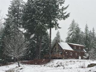 River Rock Mountain Cabin - Packwood - 9