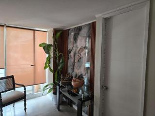 Departamento céntrico - Santiago - 8