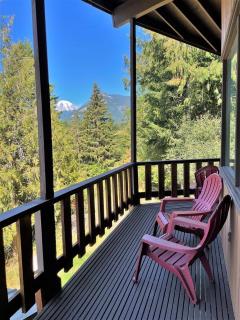 Valley View Cabin - Packwood - 7