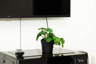 Charment studio stade de France 18 pour 4 personnes - 6