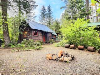 Ohana Cabin - Packwood - 0