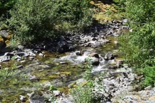 Rustic Rapids - Packwood - 9