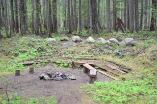 The Lodge on Shawnee Trail - Packwood - 8