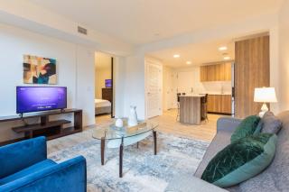 Luxury Apt with Kitchen & Gym - 2