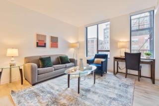 Luxury Apt with Kitchen & Gym - 3