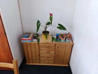 Apartmán BERLIN - Chodov - 9