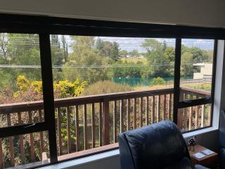 Birds Nest - Taupo - 7