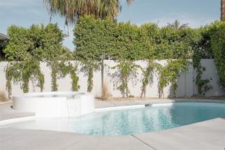 Meiselman Mid Mod Pool and Spa in Sunrise Park - Palm Springs - 9
