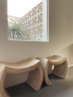 Meiselman Mid Mod Pool and Spa in Sunrise Park - Palm Springs - 5