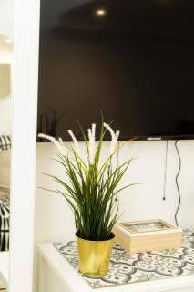 Studio Stade de France 26 pour 2 personnes - 3