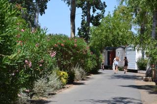 Camping Vias Plage - Vias - 9